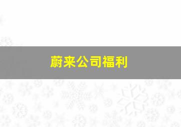 蔚来公司福利