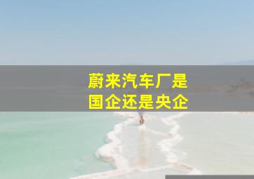 蔚来汽车厂是国企还是央企