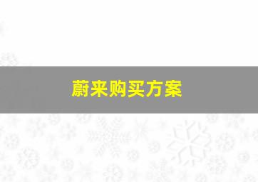 蔚来购买方案