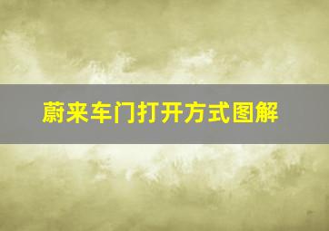 蔚来车门打开方式图解