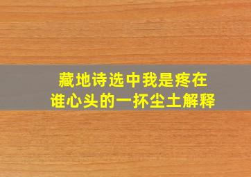 藏地诗选中我是疼在谁心头的一抔尘土解释