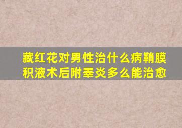 藏红花对男性治什么病鞘膜积液术后附睪炎多么能治愈