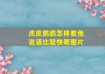 虎皮鹦鹉怎样教他说话比较快呢图片