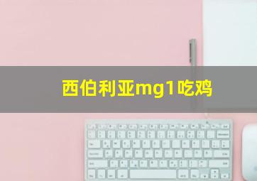 西伯利亚mg1吃鸡