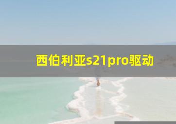 西伯利亚s21pro驱动