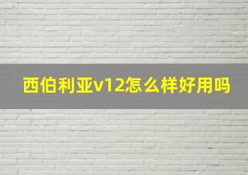 西伯利亚v12怎么样好用吗