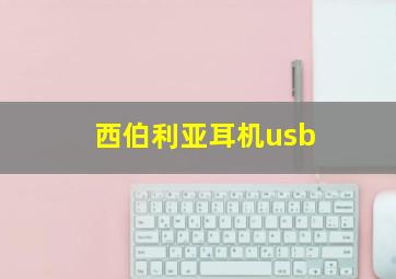 西伯利亚耳机usb