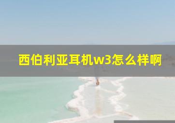 西伯利亚耳机w3怎么样啊