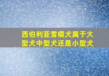 西伯利亚雪橇犬属于大型犬中型犬还是小型犬