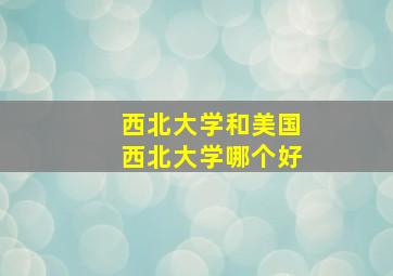 西北大学和美国西北大学哪个好