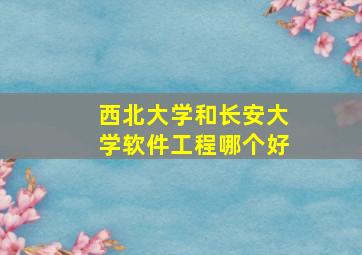 西北大学和长安大学软件工程哪个好