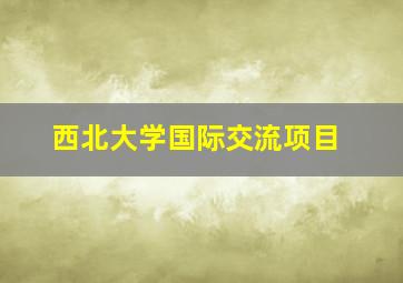 西北大学国际交流项目