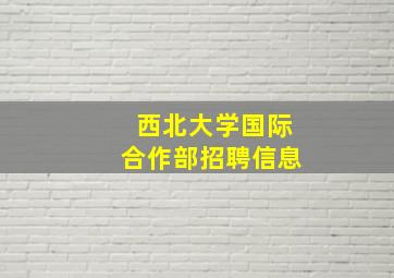 西北大学国际合作部招聘信息