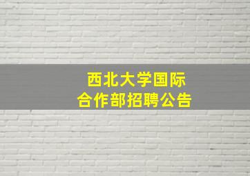 西北大学国际合作部招聘公告