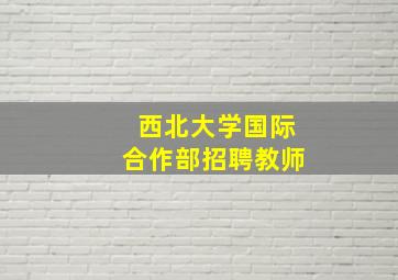 西北大学国际合作部招聘教师