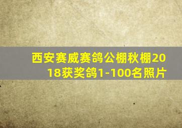 西安赛威赛鸽公棚秋棚2018获奖鸽1-100名照片