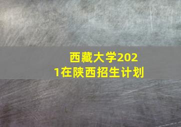 西藏大学2021在陕西招生计划