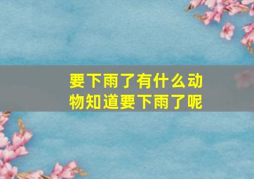 要下雨了有什么动物知道要下雨了呢