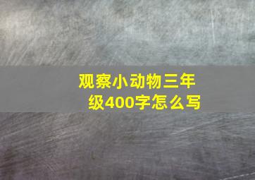 观察小动物三年级400字怎么写