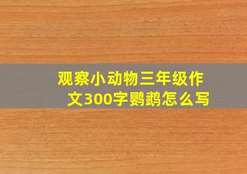 观察小动物三年级作文300字鹦鹉怎么写