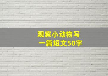 观察小动物写一篇短文50字