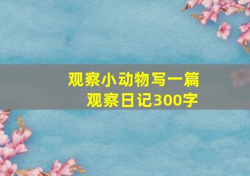 观察小动物写一篇观察日记300字