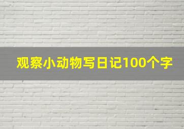 观察小动物写日记100个字