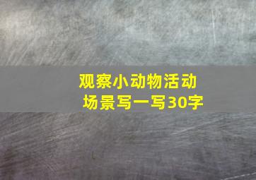 观察小动物活动场景写一写30字