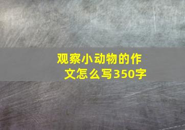 观察小动物的作文怎么写350字