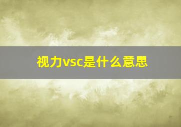 视力vsc是什么意思