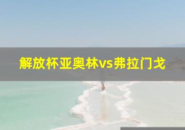 解放杯亚奥林vs弗拉门戈