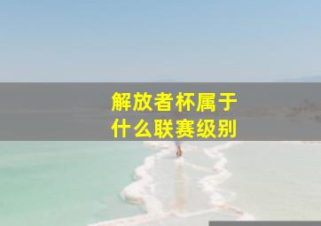 解放者杯属于什么联赛级别