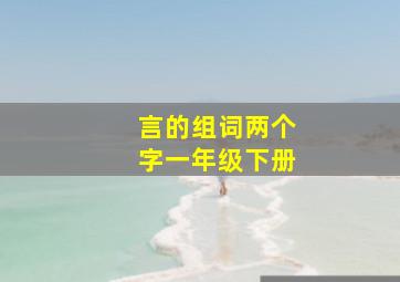 言的组词两个字一年级下册