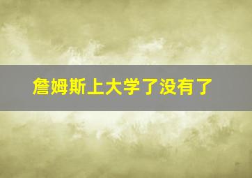 詹姆斯上大学了没有了