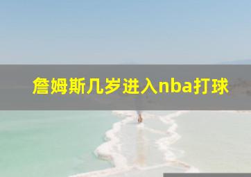 詹姆斯几岁进入nba打球