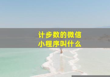 计步数的微信小程序叫什么