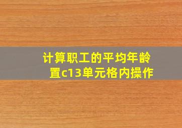 计算职工的平均年龄置c13单元格内操作