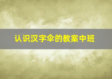 认识汉字伞的教案中班