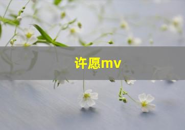 许愿mv