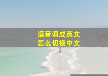 语音调成英文怎么切换中文