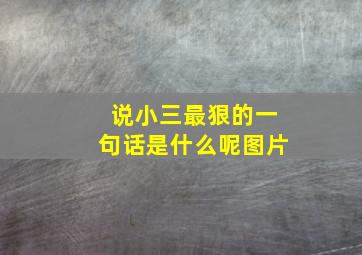 说小三最狠的一句话是什么呢图片