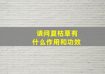 请问夏枯草有什么作用和功效