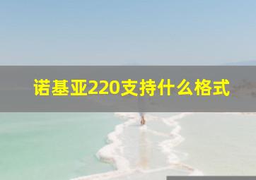 诺基亚220支持什么格式