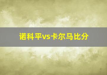 诺科平vs卡尔马比分