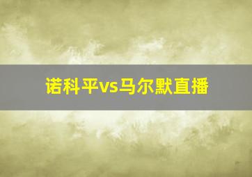 诺科平vs马尔默直播