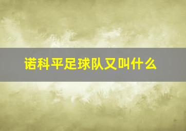 诺科平足球队又叫什么