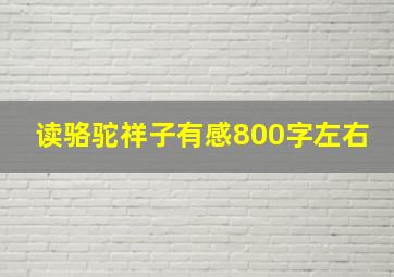 读骆驼祥子有感800字左右