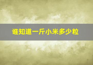 谁知道一斤小米多少粒