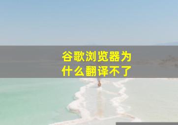 谷歌浏览器为什么翻译不了