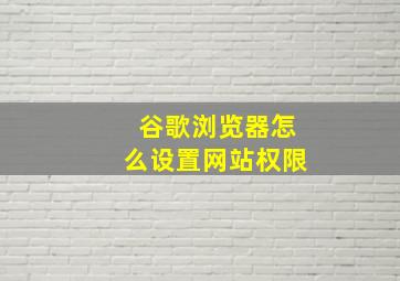 谷歌浏览器怎么设置网站权限